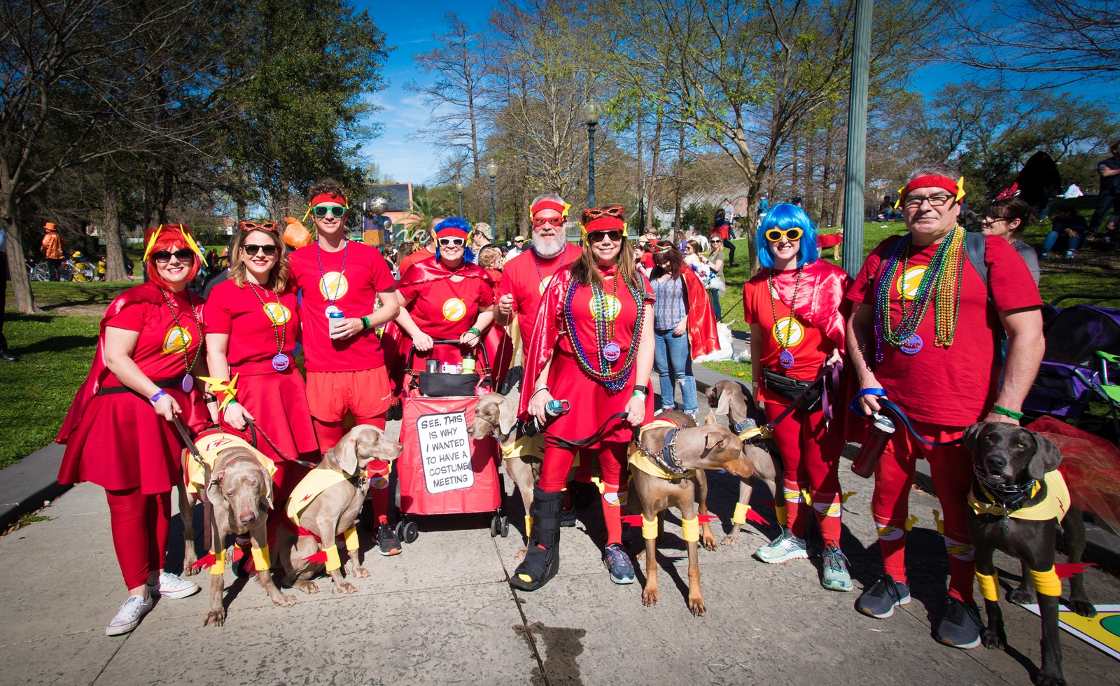 Swing Design Product Reviews